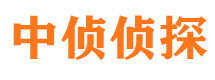 新干外遇调查取证